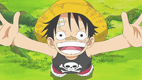 Ahokid Onepiece GIF - Ahokid Onepiece Luffy - Discover & Share GIFs