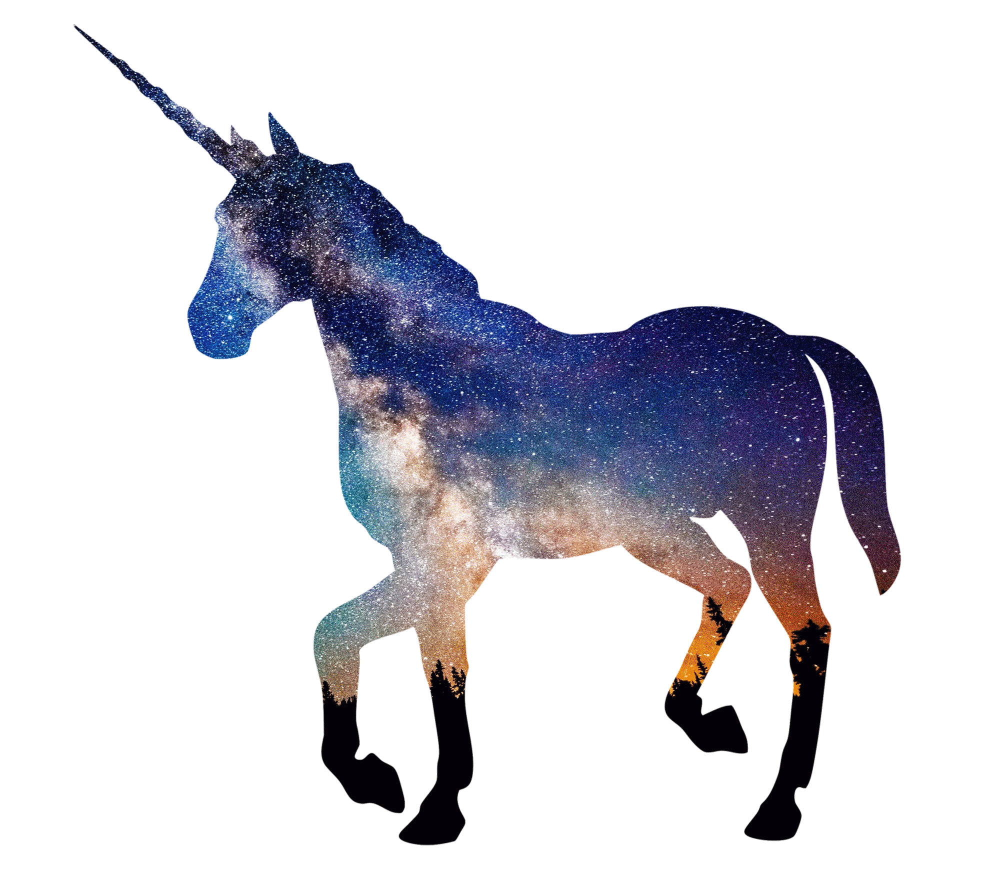 unicorns and glitter gif